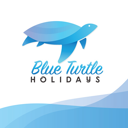 Blue Turtle Visiting Card