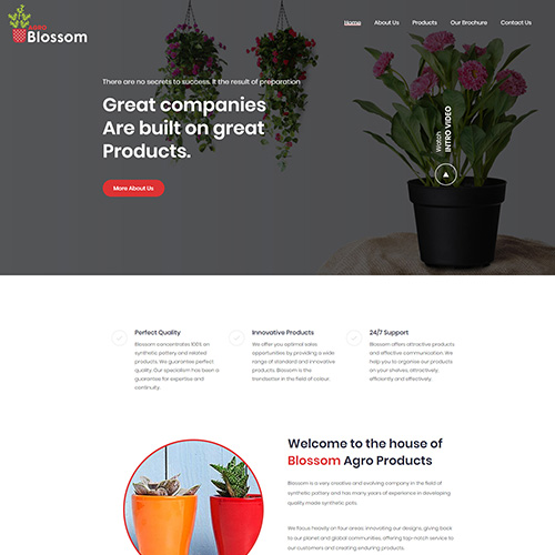 Blossom Agro Website